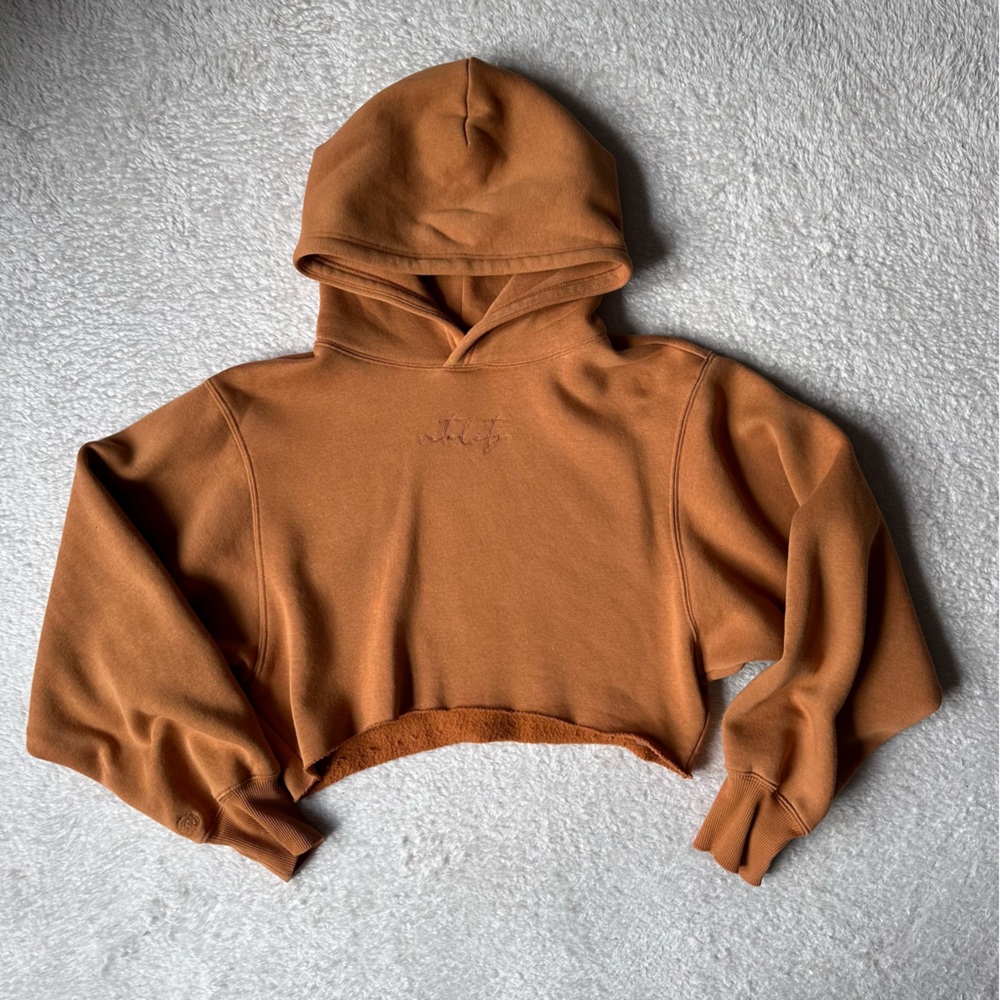 Vitality Crop Hoodie